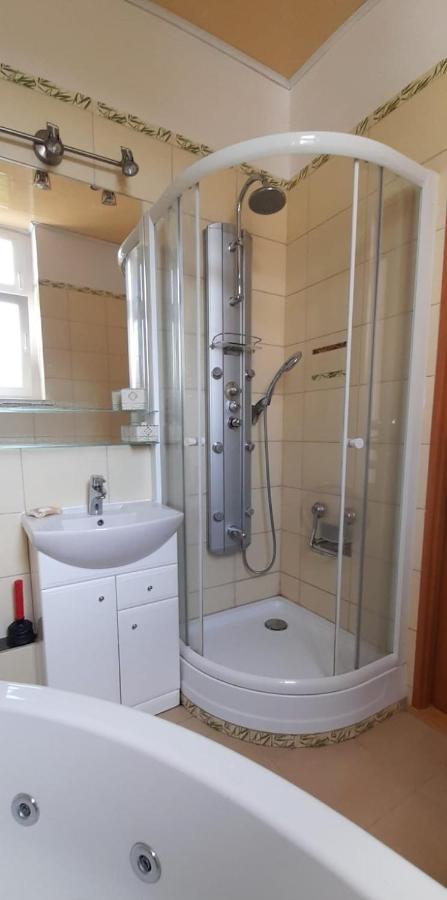 Apartament Kasztanowy Apartment กลีวิตเซ ภายนอก รูปภาพ